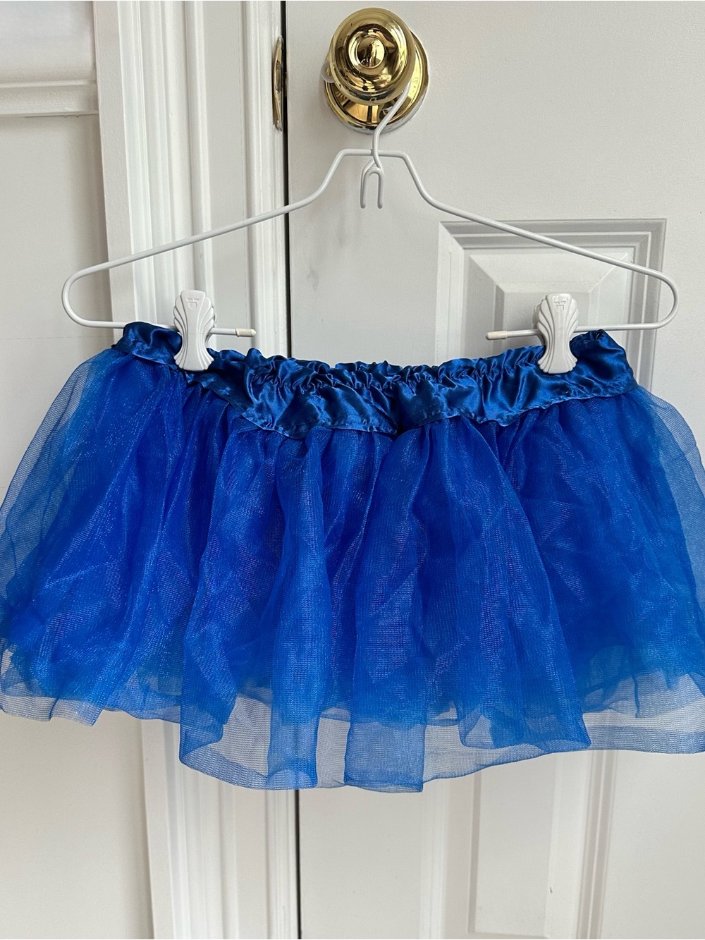 Royal Blue Tulle Tutu Skirt Child Size S/M